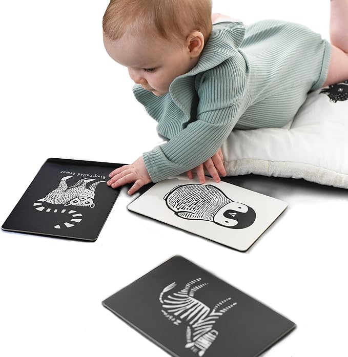 Wee Gallery High-Contrast Art Cards